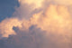 http://c328301.r1.cf1.rackcdn.com/PDDSA17TNO0088.jpg