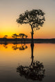 Lake Martin Sunrise Swamp Poster Print by Jaynes Gallery