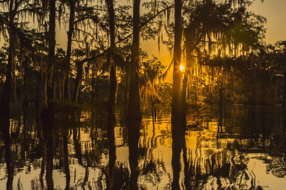 Atchafalaya National Wildlife Refuge Sunrise Poster Print