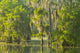 Atchafalaya National Wildlife Refuge Sunrise Poster Print
