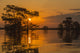 Atchafalaya National Wildlife Refuge Sunrise Poster Print