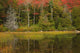 Fall reflections at Bubble Pond in Acadia National Park poster print by Joanne Wells.