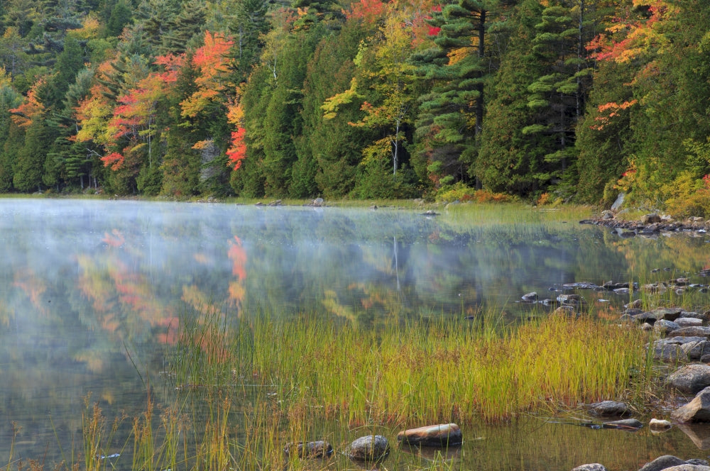 Acadia National Park Fall Reflections Poster Print by Joanne Wells