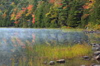Acadia National Park Fall Reflections Poster Print by Joanne Wells