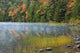 Acadia National Park Fall Reflections Poster Print by Joanne Wells