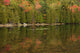 Acadia National Park Fall Reflections Poster Print by Joanne Wells