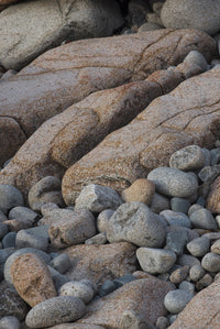 Boulder Beach Acadia National Park Poster Print by Judith Zimmerman