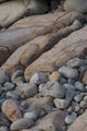Boulder Beach Acadia National Park Poster Print by Judith Zimmerman