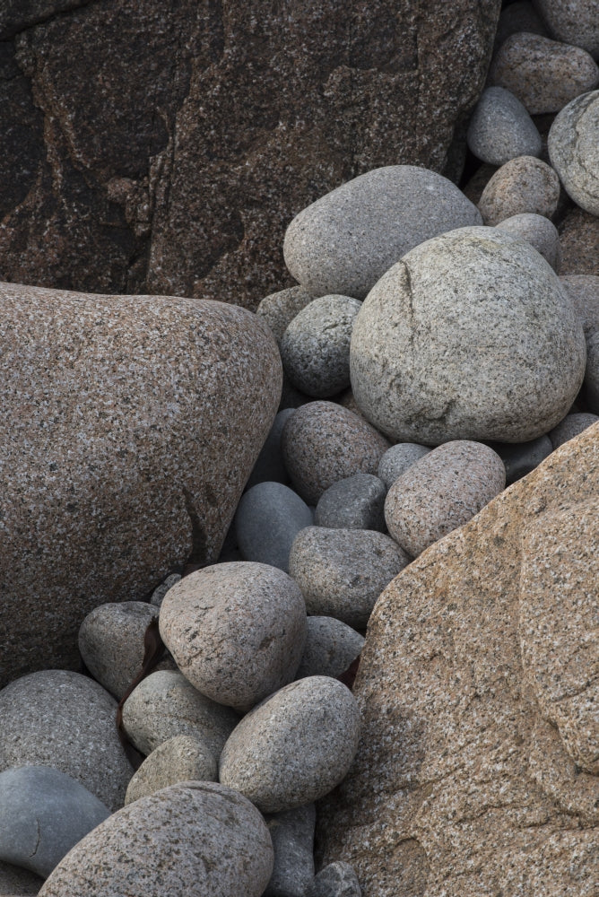 Boulder Beach Acadia National Park Poster Print by Judith Zimmerman