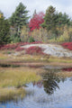 New Mills Meadow Pond Poster Print by Judith Zimmerman showcasing Acadia National Park.