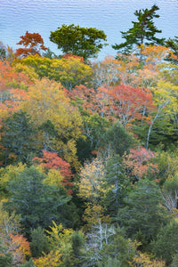 Autumn foliage poster print overlooking Jordan Pond in Acadia National Park by Judith Zimmerman.