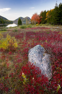 Bubbles and Jordan Pond in autumn colors poster print by Judith Zimmerman.
