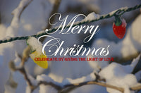 Holiday Lights After Winter Storm Poster Print showcasing New England winter scene.
