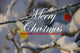 Holiday Lights After Winter Storm Poster Print showcasing New England winter scene.