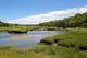 Wetlands at Barnstable, Cape Cod, Massachusetts Poster Print by Susan Pease