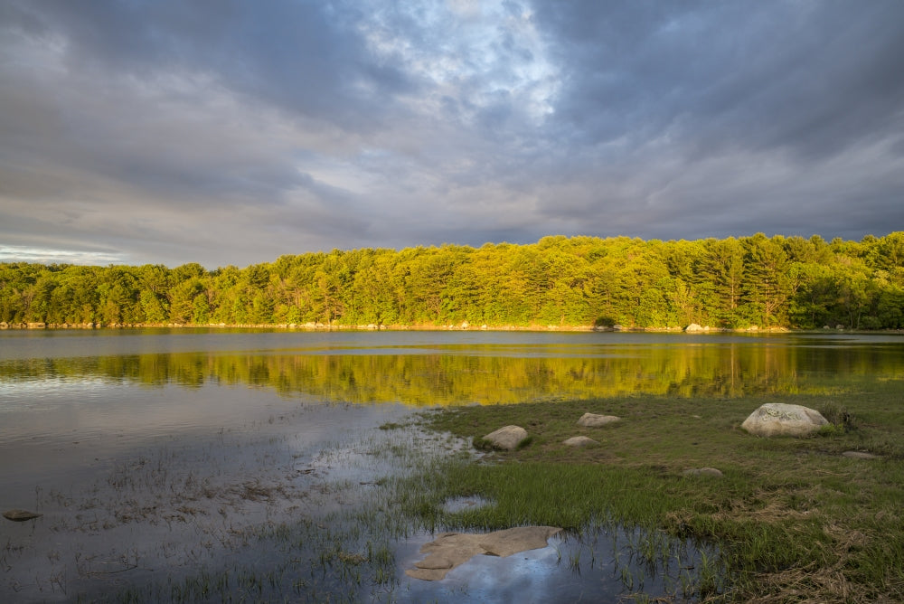 Summer Light on Goose Cove Poster Print by Walter Bibikow