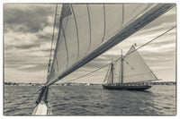 Gloucester Schooner Festival Poster Print by Walter Bibikow showcasing vibrant schooners