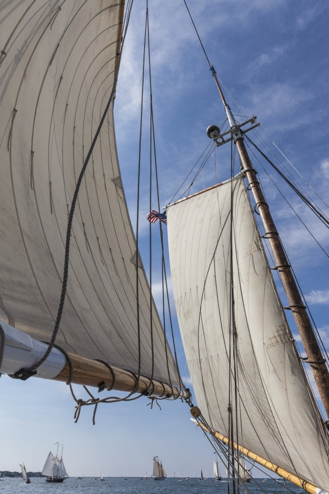 Gloucester Schooner Festival Poster Print by Walter Bibikow showcasing schooner sails.