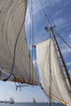 Gloucester Schooner Festival Poster Print by Walter Bibikow showcasing schooner sails.