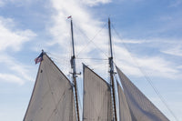 Gloucester Schooner Festival Poster Print by Walter Bibikow showcasing vibrant schooners at sea.