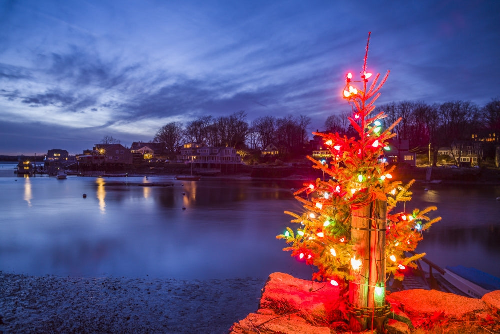 Lobster Cove Christmas Tree Poster Print by Walter Bibikow, showcasing a festive coastal landscape.
