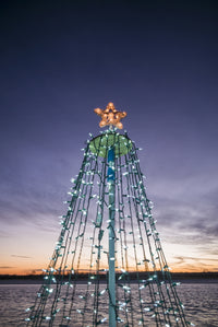 Waterfront Christmas Tree Art Print by Walter Bibikow