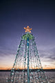 Waterfront Christmas Tree Art Print by Walter Bibikow