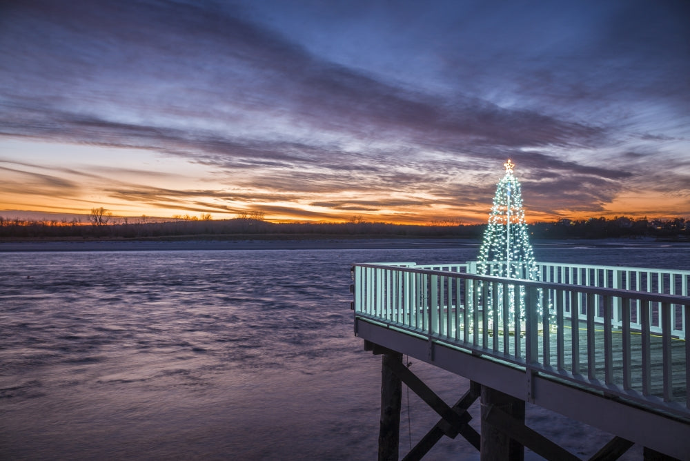 Waterfront Christmas Tree Poster Print by Walter Bibikow showcasing a festive scene.