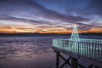 Waterfront Christmas Tree Poster Print by Walter Bibikow showcasing a festive scene.