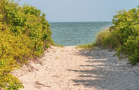 Beach Path Through Trees Fine Art Print by William Perry