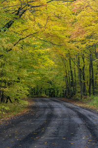 Covered Road near Houghton Fine Art Print by Chuck Haney showcasing Michigan's beautiful landscape.
