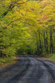 Covered Road near Houghton Fine Art Print by Chuck Haney showcasing Michigan's beautiful landscape.