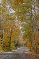 Light Snowfall on Wyoming Road near Copper Harbor Poster Print by Chuck Haney
