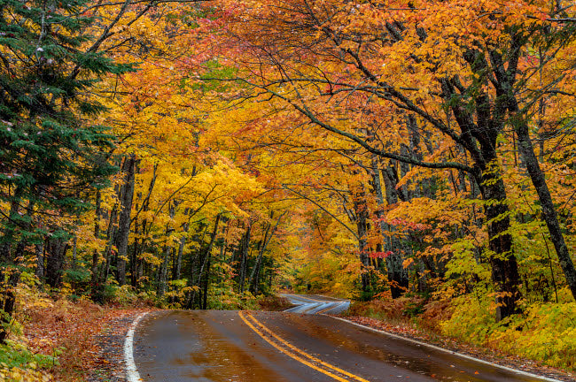 Highway 41 covered roadway in autumn near Copper Harbor, Michigan Poster Print by Chuck Haney