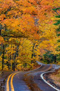 Highway 41 covered roadway in autumn near Copper Harbor, Michigan poster print by Chuck Haney.