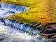 Ottawa National Forest smooth water reflecting fall foliage poster print by Terry Eggers.
