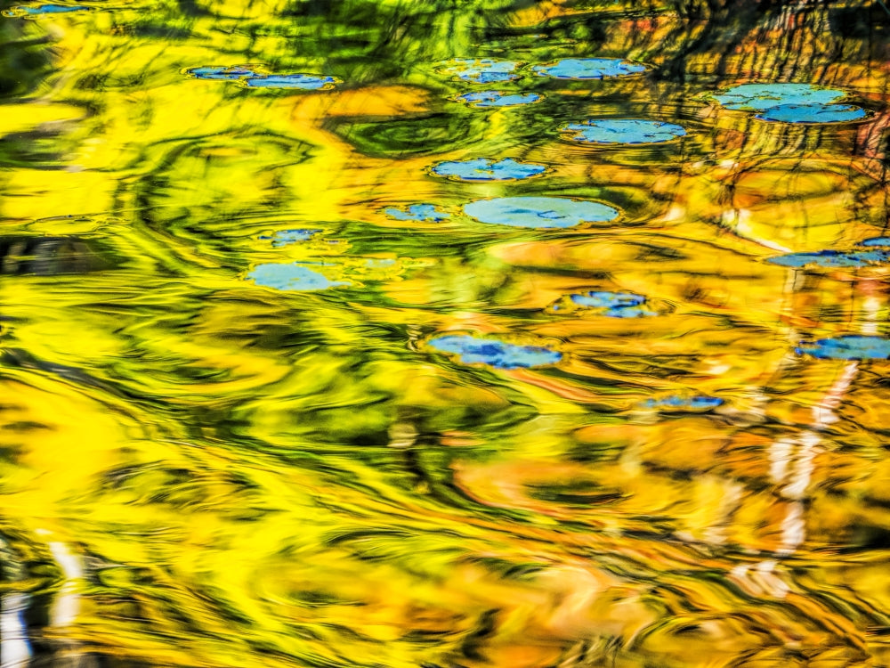 Autumn Reflections on Council Lake Poster Print by Terry Eggers