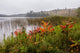 Itasca State Park Poster Print featuring stunning nature landscapes by Peter Hawkins.