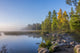 Itasca State Park Poster Print by Peter Hawkins showcasing Minnesota's natural beauty.