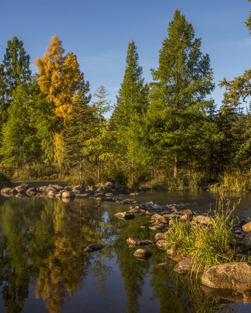 USA Minnesota Itasca State Park Poster Print by Peter Hawkins