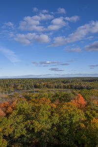 USA Minnesota Itasca State Park Poster Print by Peter Hawkins