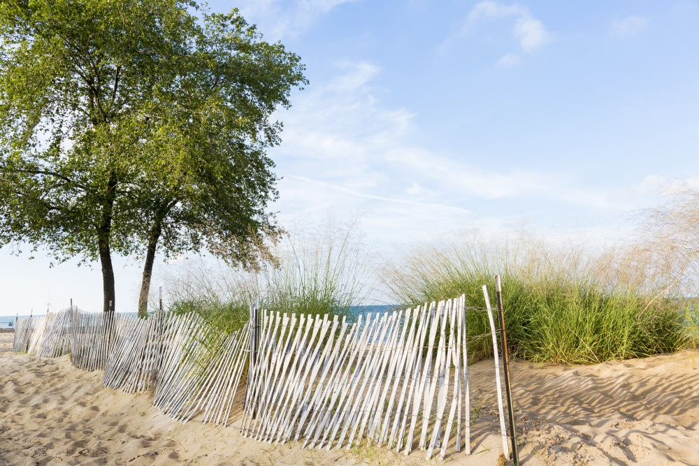 Fence Along Lake Huron Beach Poster Print by Richard & Susan Day