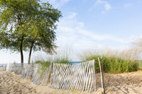 Fence Along Lake Huron Beach Poster Print by Richard & Susan Day