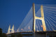 Bill Emerson Memorial Bridge Night Poster Print by Richard & Susan Day