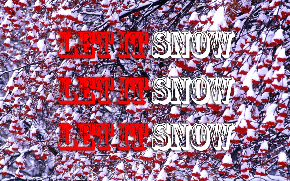 Mountain Ash Tree and Berries in Snow Poster Print showcasing vibrant red berries and fresh snow.