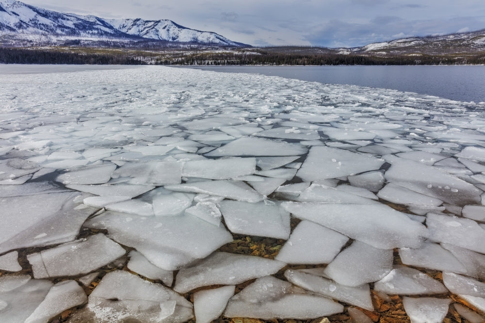 Ice flows at spring breakup on Lake McDonald in Glacier National Park, Montana - Poster Print by Chuck Haney.