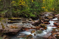 Avalanche Creek in Glacier National Park Poster Print by Chuck Haney