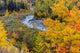 Autumn color along Divide Creek in Glacier National Park poster print by Chuck Haney.