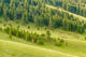 National Bison Range Palouse Prairie Grasslands Poster Print by Janet Horton