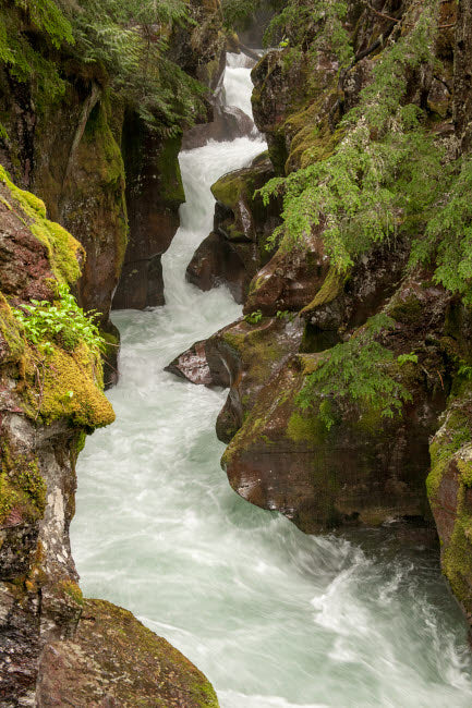 Avalanche Creek Poster Print showcasing Glacier National Park by Janet Horton